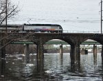 NJT 4509
